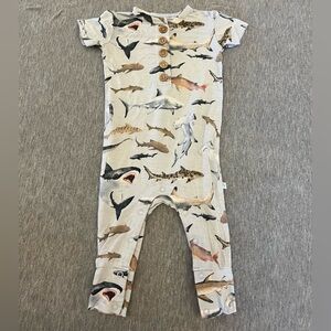 Posh Peanut Shark Romper